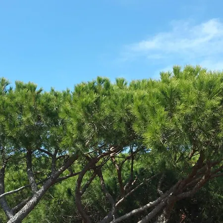 Casa Raggio Di Sole *